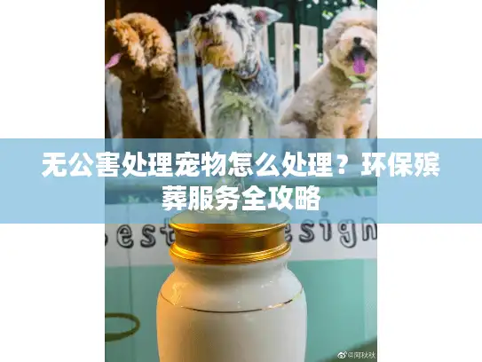 无公害处理宠物怎么处理？环保殡葬服务全攻略