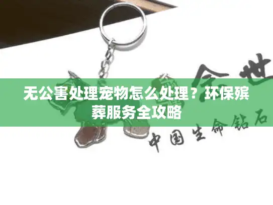 无公害处理宠物怎么处理？环保殡葬服务全攻略