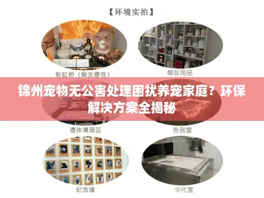 锦州宠物无公害处理困扰养宠家庭？环保解决方案全揭秘