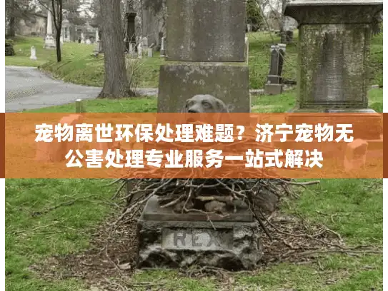 宠物离世环保处理难题？济宁宠物无公害处理专业服务一站式解决