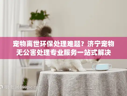 宠物离世环保处理难题？济宁宠物无公害处理专业服务一站式解决