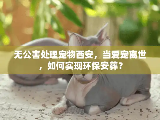 无公害处理宠物西安，当爱宠离世，如何实现环保安葬？