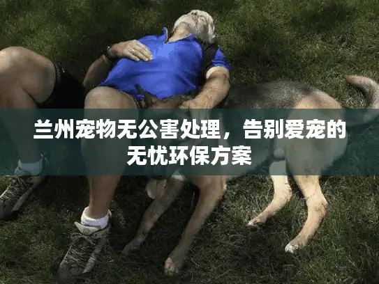 兰州宠物无公害处理，告别爱宠的无忧环保方案