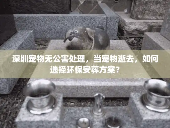 深圳宠物无公害处理，当宠物逝去，如何选择环保安葬方案？