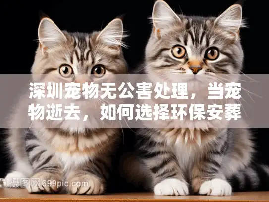 深圳宠物无公害处理，当宠物逝去，如何选择环保安葬方案？