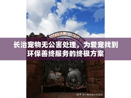 长治宠物无公害处理，为爱宠找到环保善终服务的终极方案