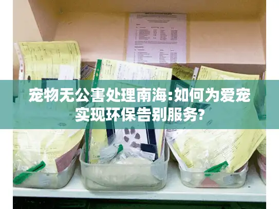 宠物无公害处理南海:如何为爱宠实现环保告别服务?