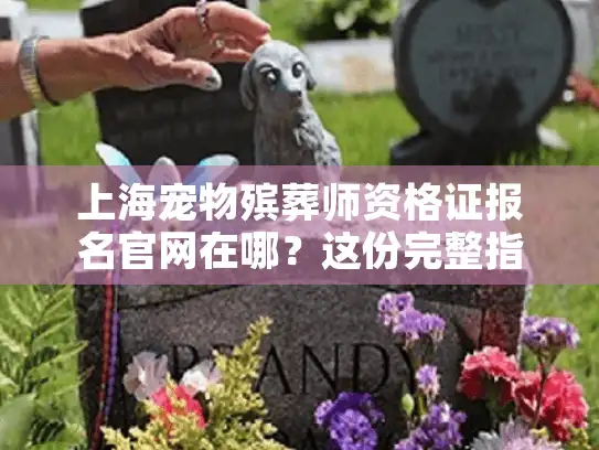 上海宠物殡葬师资格证报名官网在哪？这份完整指南请查收