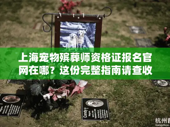 上海宠物殡葬师资格证报名官网在哪？这份完整指南请查收