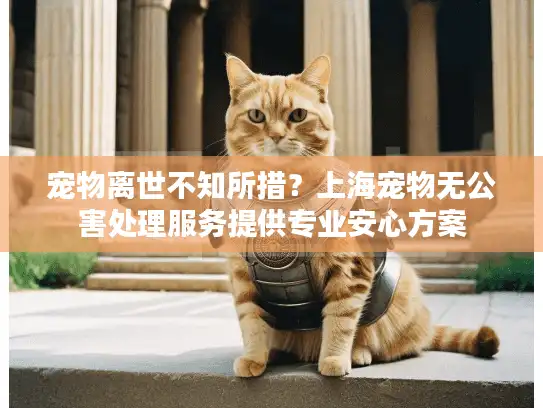 宠物离世不知所措？上海宠物无公害处理服务提供专业安心方案