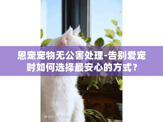 恩宠宠物无公害处理-告别爱宠时如何选择最安心的方式？
