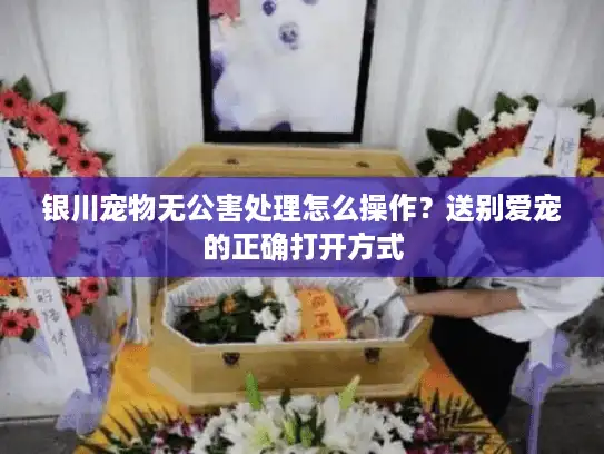 银川宠物无公害处理怎么操作？送别爱宠的正确打开方式