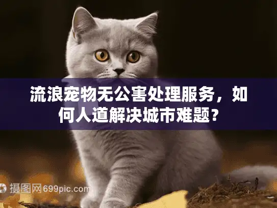 流浪宠物无公害处理服务，如何人道解决城市难题？