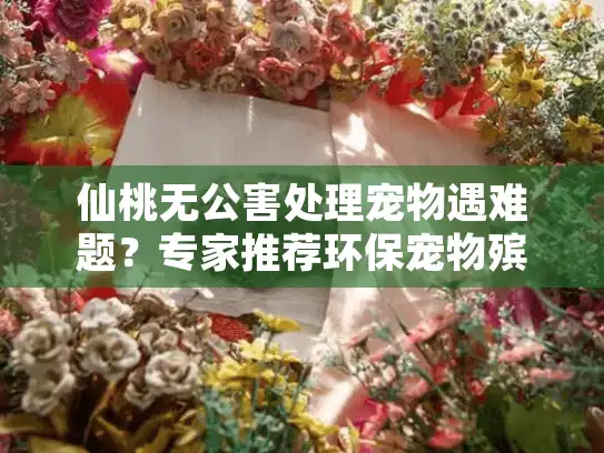 仙桃无公害处理宠物遇难题？专家推荐环保宠物殡葬安心方案
