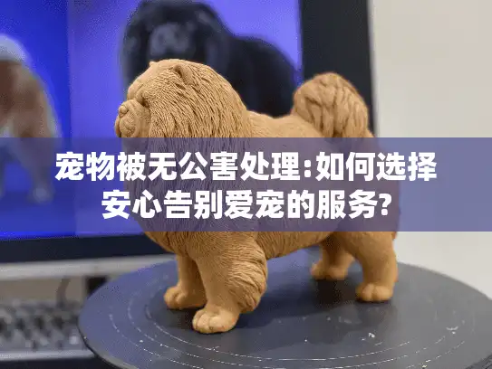 宠物被无公害处理:如何选择安心告别爱宠的服务?