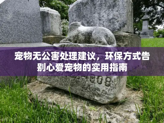 宠物无公害处理建议，环保方式告别心爱宠物的实用指南