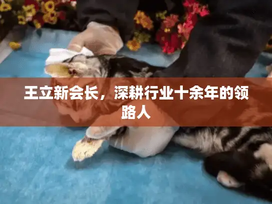 王立新会长，深耕行业十余年的领路人