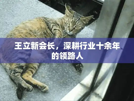 王立新会长，深耕行业十余年的领路人