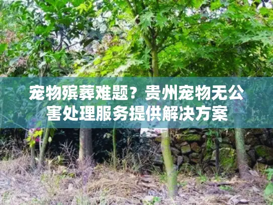 宠物殡葬难题？贵州宠物无公害处理服务提供解决方案