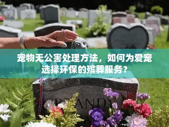 宠物无公害处理方法，如何为爱宠选择环保的殡葬服务？