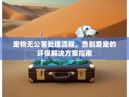 宠物无公害处理流程，告别爱宠的环保解决方案指南