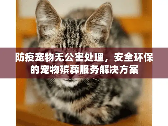 防疫宠物无公害处理，安全环保的宠物殡葬服务解决方案