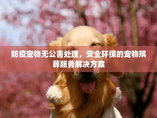 防疫宠物无公害处理，安全环保的宠物殡葬服务解决方案