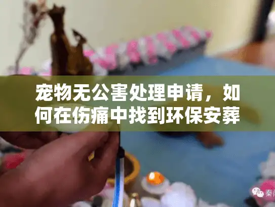 宠物无公害处理申请，如何在伤痛中找到环保安葬方案？
