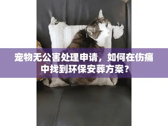 宠物无公害处理申请，如何在伤痛中找到环保安葬方案？