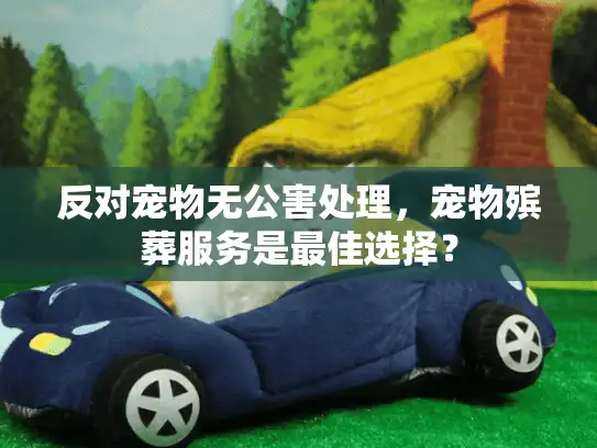 反对宠物无公害处理，宠物殡葬服务是最佳选择？