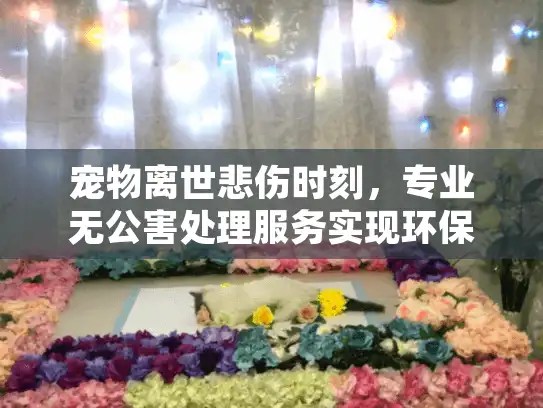 宠物离世悲伤时刻，专业无公害处理服务实现环保慰藉