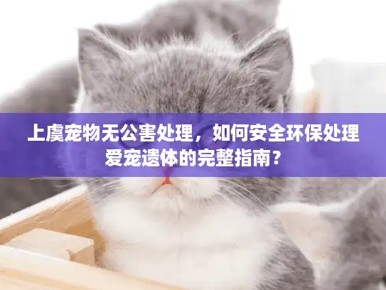 上虞宠物无公害处理，如何安全环保处理爱宠遗体的完整指南？