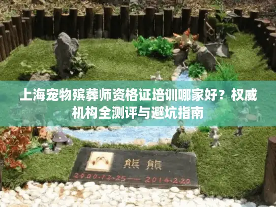 上海宠物殡葬师资格证培训哪家好？权威机构全测评与避坑指南