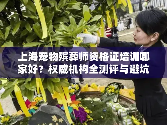 上海宠物殡葬师资格证培训哪家好？权威机构全测评与避坑指南