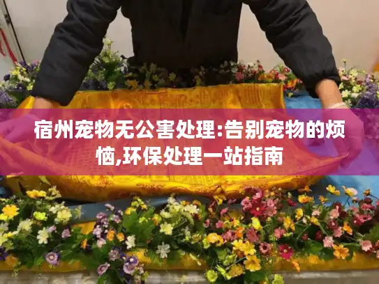 宿州宠物无公害处理:告别宠物的烦恼,环保处理一站指南