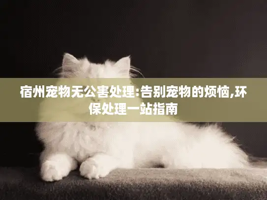 宿州宠物无公害处理:告别宠物的烦恼,环保处理一站指南