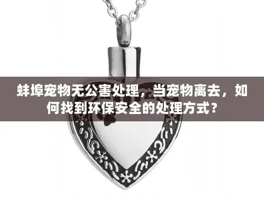 蚌埠宠物无公害处理，当宠物离去，如何找到环保安全的处理方式？