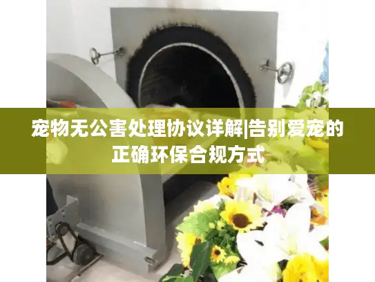 宠物无公害处理协议详解|告别爱宠的正确环保合规方式