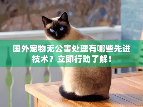 国外宠物无公害处理有哪些先进技术？立即行动了解！
