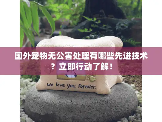 国外宠物无公害处理有哪些先进技术？立即行动了解！