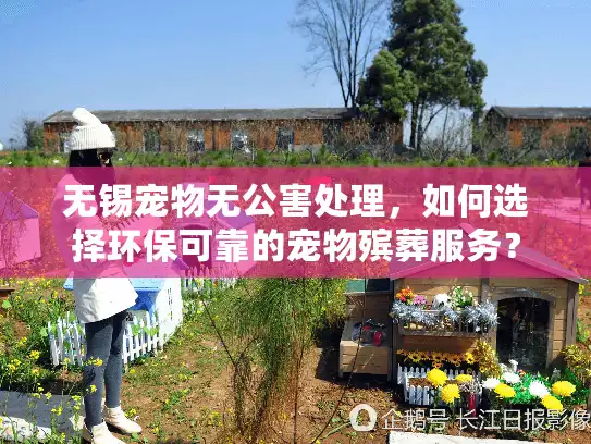 无锡宠物无公害处理，如何选择环保可靠的宠物殡葬服务？