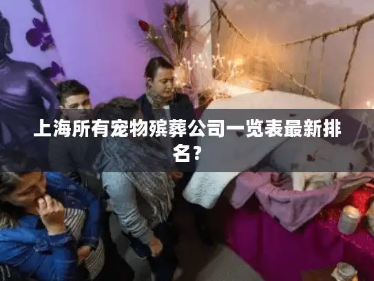 上海所有宠物殡葬公司一览表最新排名？