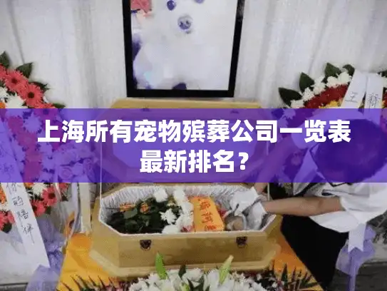 上海所有宠物殡葬公司一览表最新排名？