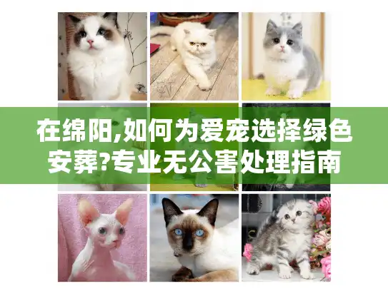 在绵阳,如何为爱宠选择绿色安葬?专业无公害处理指南