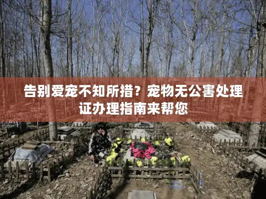 告别爱宠不知所措？宠物无公害处理证办理指南来帮您
