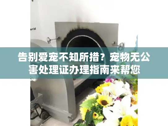 告别爱宠不知所措？宠物无公害处理证办理指南来帮您