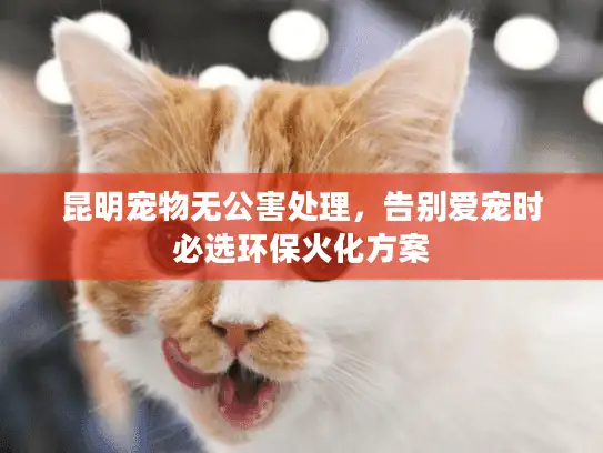 昆明宠物无公害处理，告别爱宠时必选环保火化方案