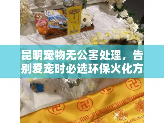 昆明宠物无公害处理，告别爱宠时必选环保火化方案