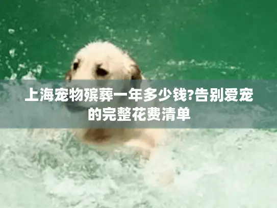 上海宠物殡葬一年多少钱?告别爱宠的完整花费清单