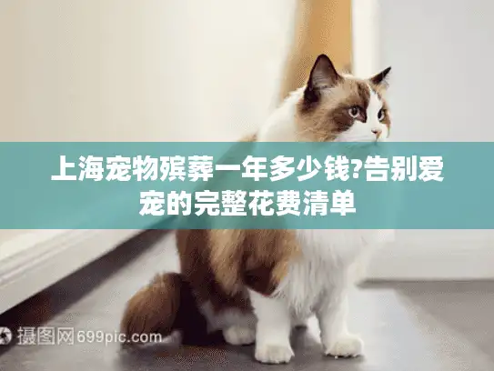 上海宠物殡葬一年多少钱?告别爱宠的完整花费清单